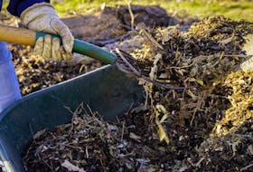 Before applying a mulch, make sure the target area is thoroughly and deeply moist. 