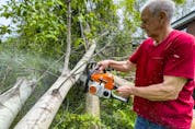 OTTAWA -- 80 year old John Landry operates a chainsaw to clean up his daughters property in the Pine Glen neighbourhood on Tuesday, May. 24, 2022 -- . ERROL MCGIHON, Postmedia