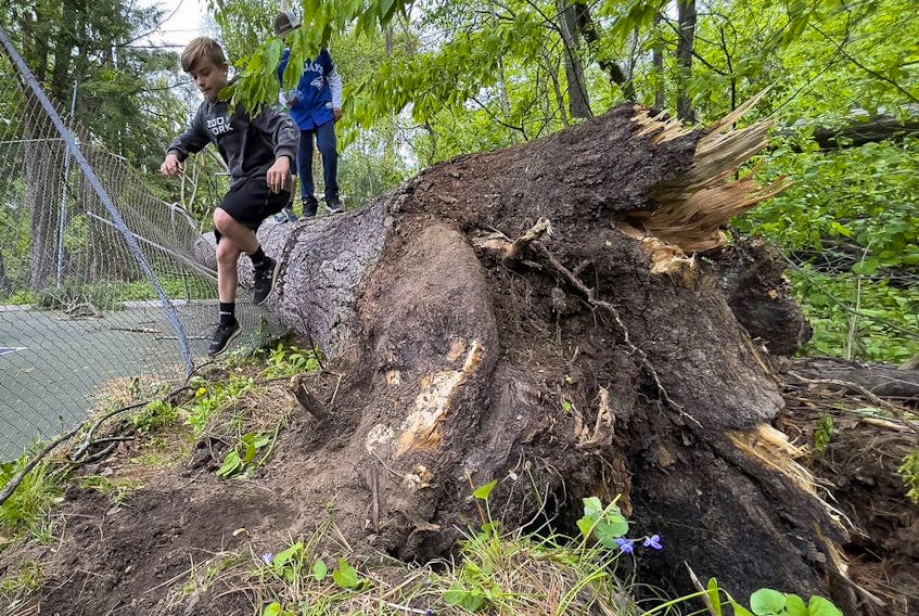 OTTAWA -- Kids explore amongst fallen trees in the Pine Glen neighbourhood on Tuesday, May. 24, 2022 -- . ERROL MCGIHON, Postmedia