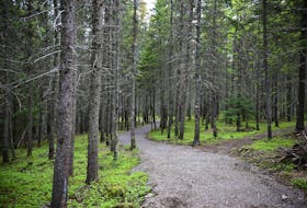 The Strait Area Trails Association is receiving $20,000 in funding from the provincial government for upgrades.