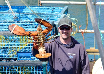 Prices and catch rates see ups, downs as P.E.I. spring lobster season wraps  up