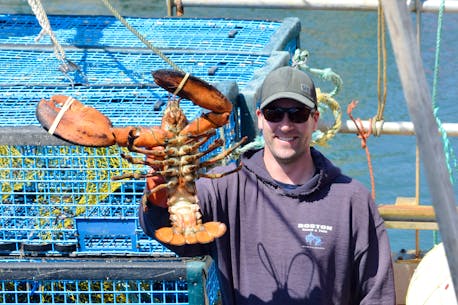 That's all folks: Commercial lobster fishery wraps up in southwestern Nova Scotia
