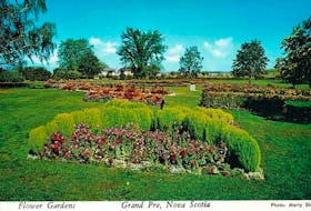 This old postcard depicts some of the beautiful gardens that were in bloom at Grand Pre. John Mason, of Billtown, spent 25 years as a civil servant at the park and his focus was always on providing visitors with a colourful display of annuals.