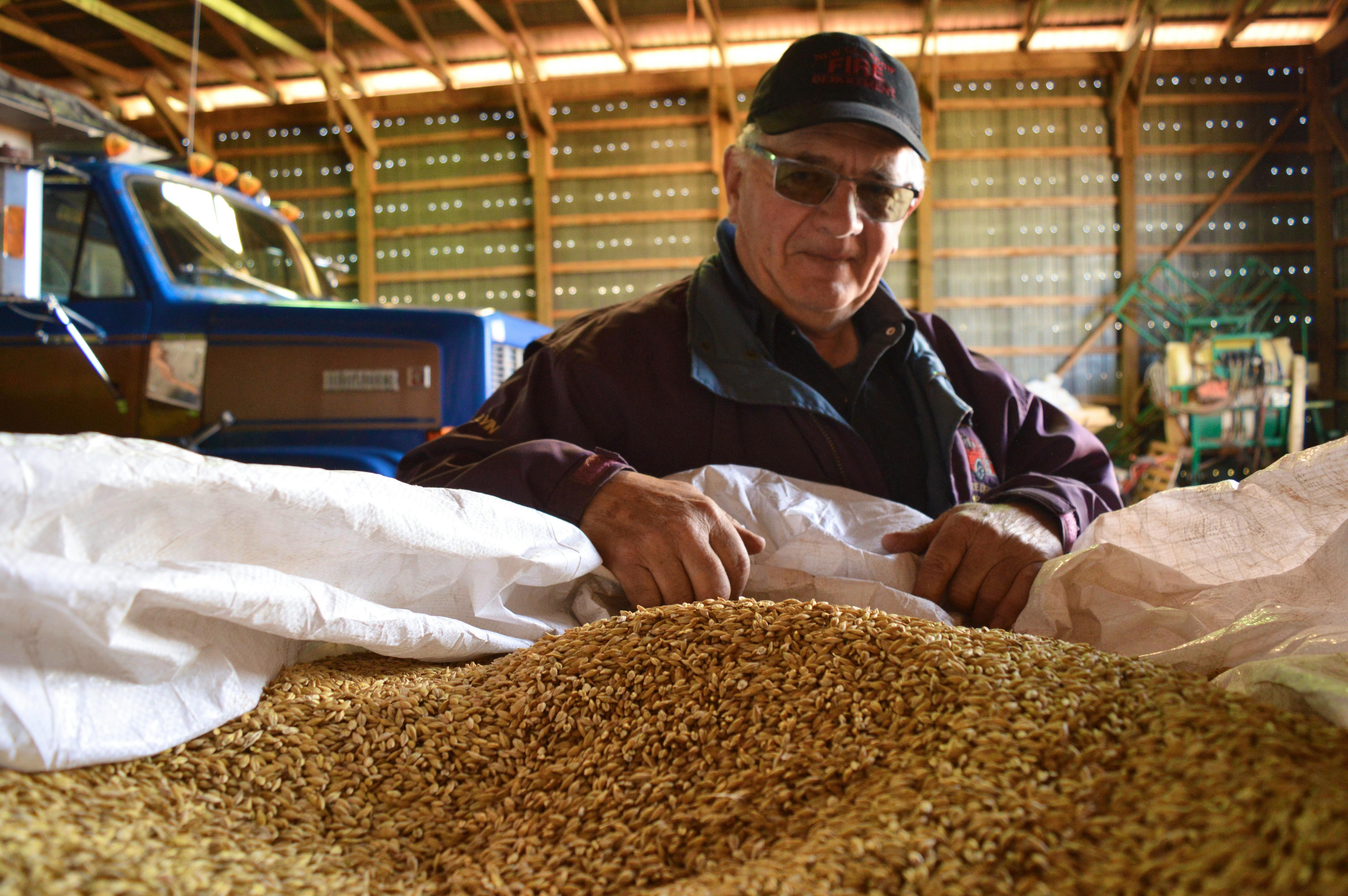 Growing a legacy: P.E.I. farmer plants barley named for late brother