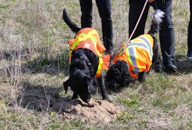Jake (left) and Praia (right) break the ground for the new SPCA in Pictou County. 