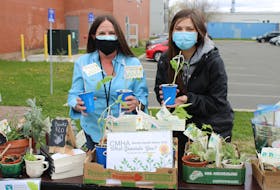 CMHA Colchester East Hants branch executive director Susan Henderson and youth outreach worker Sarah Mulligan running a plants fundraiser as part of mental health week. Free sunflowers were given away.  