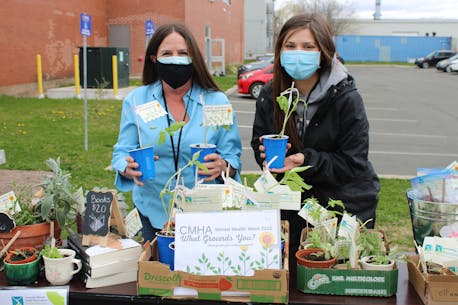 'Getting grounded': CMHA Mental Health Week wraps up in Colchester-East Hants with sunflowers, plants and barbeque
