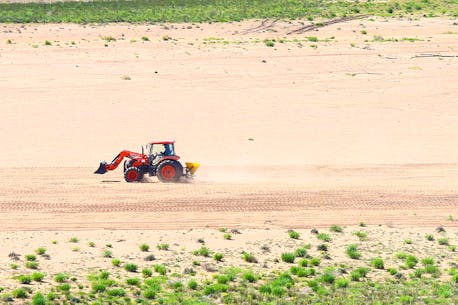 Hants County, N.S. residents ‘ecstatic’ if seeding solves Avon River sandstorm issue: mayor