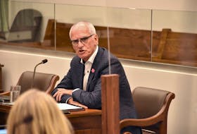Cecil Villard, executive director of the P.E.I. Association of Community Long-Term Care, speaks to the standing committee on health and social development June 8. - Alison Jenkins