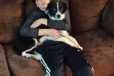 Kings County, N.S., resident thankful for blood donor that saved son’s dog