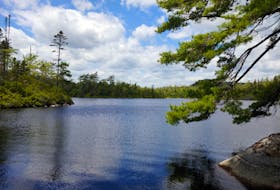 The Nature Conservancy of Canada is buying 51 hectares of intact forest, freshwater wetlands, lakes and a one-kilometre section of river frontage along the Musquodoboit River.
