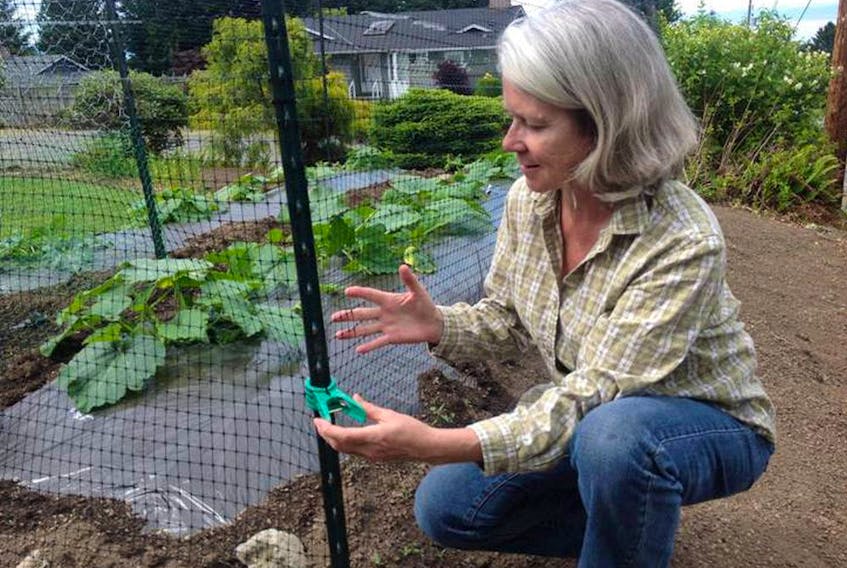 Donna Blazer of the Calgary Horticultural Society demonstrates how plastic netting can be used to protect plants from being rabbit food.