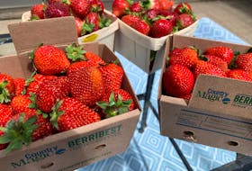 Nova Agri, located in Sheffield Mills, Kings County, has switched to cardboard boxes for its strawberries, sold under the Country Magic brand.  
June 20 , 2022. 
Bill Spurr