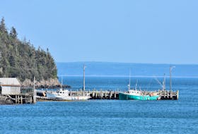 Fishing boats sit tied to the dock in this scenic view overlooking St. Mary’s Bay along Digby Neck. TINA  COMEAU