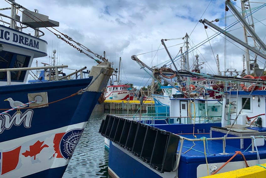 Fishing boats in Port de Grave. When cod stocks were no longer plentiful, fishers turned to other species, like caplin, crab and turbot. — SaltWire Network file photo
