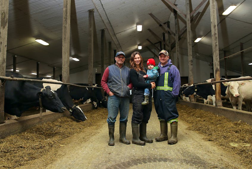 John van de Riet, left, farms alongside his daughter-in-law Sarah, grandson Acer and son Joey. The Sunni Knoll Farms is located in Shubenacadie and has incorporated new technology for the betterment of the animals. NICK PEARCE