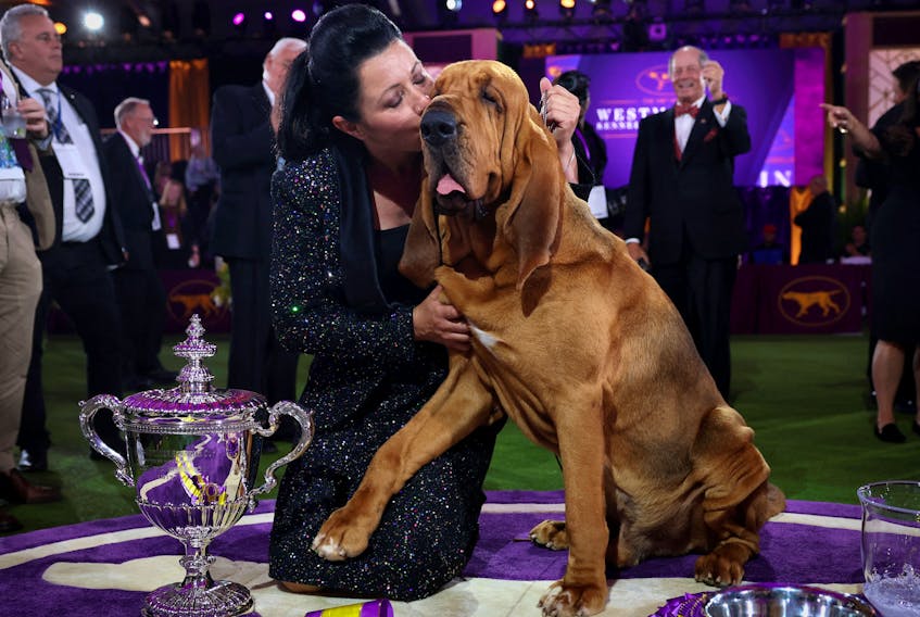 Trumpet, a bloodhound, is kissed his handler Heather Helmer after winning Best in Show at the 146th Westminster Kennel Club Dog Show at the Lyndhurst Estate in Tarrytown, New York on Wednesday, June 22, 2022. - Mike Segar / Reuters