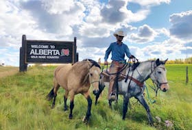 Hoofing it: Felipe Masetti Leite leaves Alberta on his journey south.