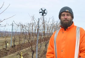 Agriculture and Agri-Food Canada plant physiologist Harrison Wright in the vineyard at the Kentville Research and Development Centre earlier this year.
