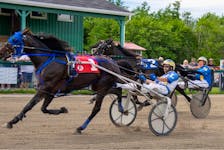 Revenant, No. 1, and driver Shawn Lynk hold off a late challenge from A Better Man and Gerard Kennedy to win the Saturday afternoon feature at Northside Downs. PHOTO CONTRIBUTED/TANYA ROMEO.