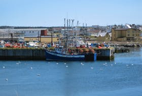 The harbour at Bonavista. So much has changed since the heyday of the cod fishery.