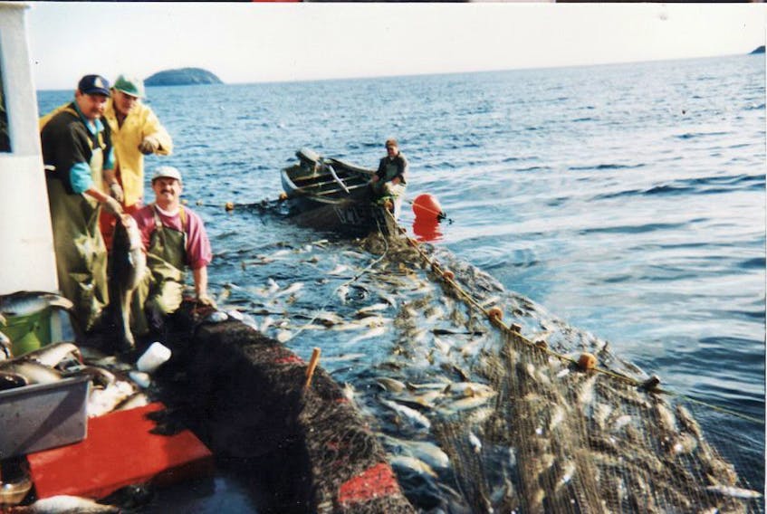 In this pre-moratorium photo, Bonavista fisheremen (from left) Hedley Butler, Willie John Randell, Bennett Butler and Todd Butler work on hauling a cod trap.
