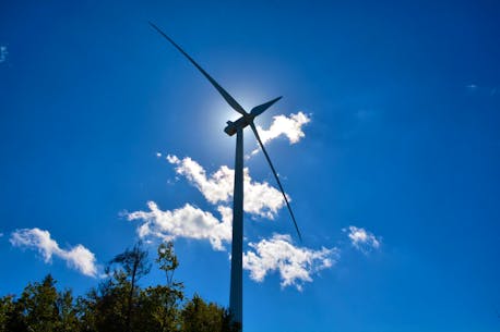 Provincial government opens land nomination process for wind energy development in Newfoundland and Labrador