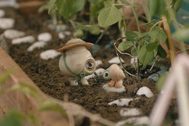 Isabella Rossellini and Jenny Slate provide the voices in Marcel the Shell with Shoes On.