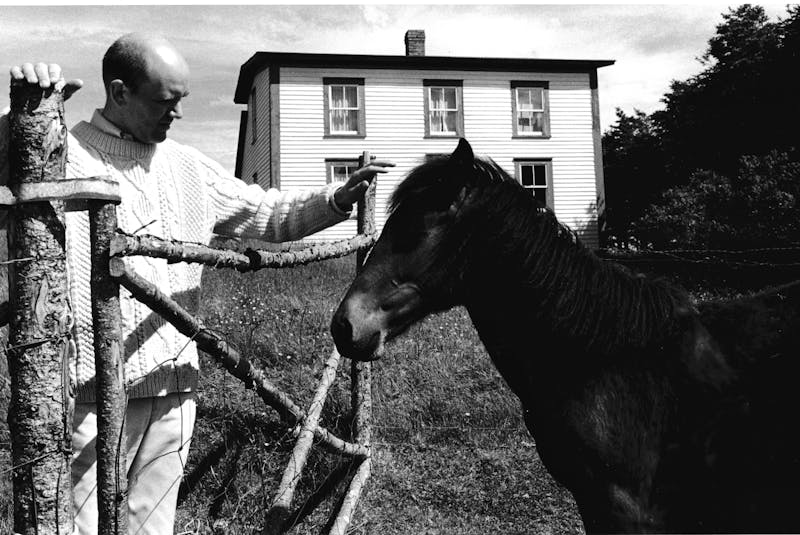 Christopher Pratt is pictured with a Newfoundland Pony, The TIckles, in 1971. - Haricot photo John Reeves