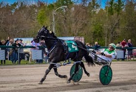 Kiss Me I’m Irish and Mark Pezzarello drew away to win the stretch in the afternoon’s feature race Saturday at Northside Downs. CONTRIBUTED/TANYA ROMEO