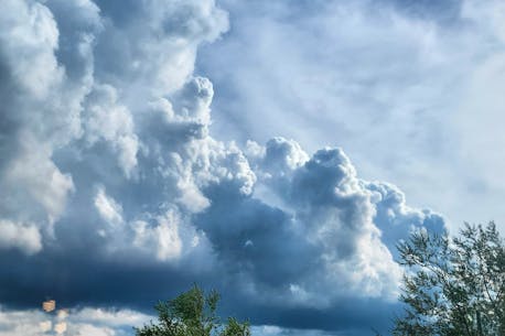 ASK ALLISTER: How do cumulonimbus clouds get so big?