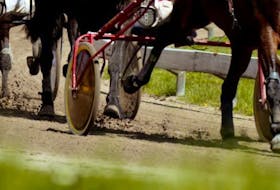 The P.E.I. Harness Racing Industry Association is teaming up with its Nova Scotia branch to host two inaugural memorial cup races in July.