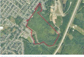 Two of the areas in Sydney that the province has proposed for housing development are along Highway 125 and Ranna Drive in Sydney, which is a part of the wash brook watershed and the Baille Ard Trail. CONTRIBUTED/NOVA SCOTIA GOVERNMENT