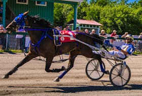 Revenant and driver Shawn Lynk are all alone at the finish line after capturing the Saturday afternoon feature at Northside Downs in 1:57.2. Revenant won by four and a half lengths over Gentry Seelster, while A Better Man took third.  TANYA ROMEO photo