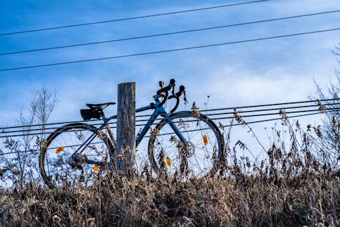 A blue bike leans against a country fence. Chris Robert • Unsplash