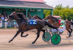 Gentry Seelster and driver Mark Pezzarello, No. 2, hold off late challenges from Runaway Mystery, No. 4, and Red Rum She Wrote, No. 3, to win Saturday afternoon’s feature race at Northside Downs. Photo courtesy Tanya Romeo