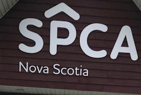 The Nova Scotia SPCA said an enforcement team found a dead dog inside a Noel home on Sunday, July 17. File.