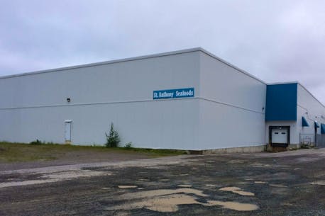 Industrial shrimp saved this Newfoundland plant says Royal Greenland executive