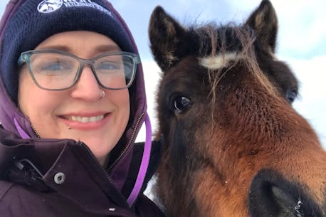 West coast veterinarian who lost her beloved Newfoundland pony has plans for a breeding project