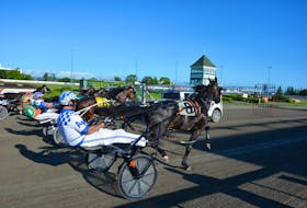 It’s a busy weekend of harness racing on P.E.I., with cards scheduled for both Charlottetown and Summerside tracks. Jason Simmonds • The Guardian