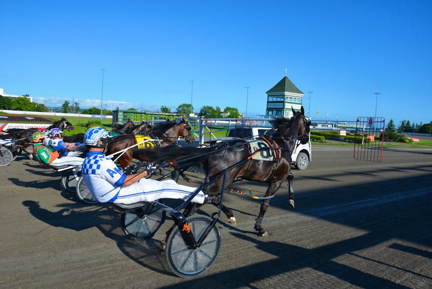 It’s a busy weekend of harness racing on P.E.I., with cards scheduled for both Charlottetown and Summerside tracks. Jason Simmonds • The Guardian