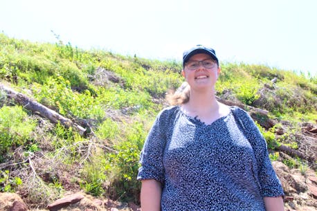 Living shoreline helping to fight erosion in P.E.I.