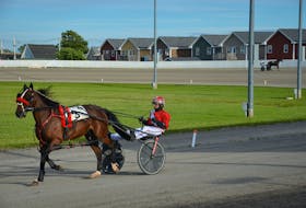 Driver David Dowling warms up a horse at Red Shores at Summerside Raceway recently. Dowling recorded seven victories on a harness racing card at Red Shores Racetrack and Casino at the Charlottetown Driving Park on July 23. Jason Simmonds • The Guardian
