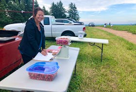 Sharon Tobin weighs strawberries at Rendell's Farm U-Pick Monday morning (July 25) at the Groves Point field. NICOLE SULLIVAN/CAPE BRETON POST