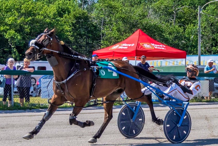 Ryan Campbell and Mando Fun are all alone at the wire winning the Gerard MacNeil Memorial Pace in 1:59.1 Saturday afternoon at Northside Downs. Tanya Romeo photo