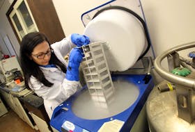 Cancer researcher Dr. Paola Marignani lifts a tray of specimens out of a tumour bank, stored in liquid nitrogen in a lab at Dalhousie University in this file photo.  - Tim Krochak