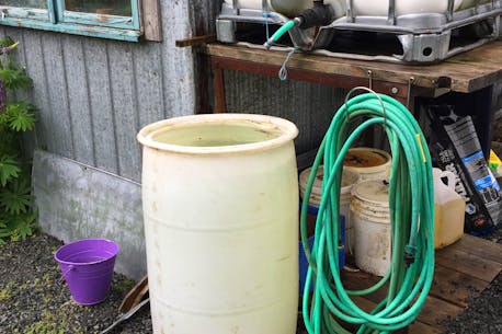 HOW TO: Hants County garden club clears the water on the many uses of rain barrels to harness the free, pure resource