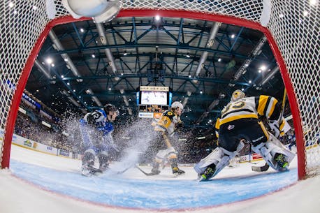 Port Williams, N.S., native Brady Burns watches Saint John Sea Dogs grow into Memorial Cup champs