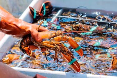 The fall lobster season for P.E.I. fishers will run from Aug. 9 until Oct. 10. File Photo.