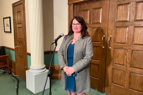 Newfoundland and Labrador pay equity committee has no terms of reference